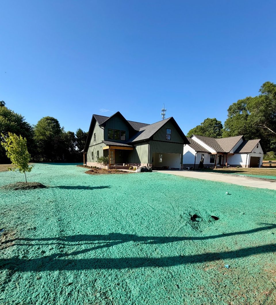 Thick green established lawn after TerraSeed hydroseeding