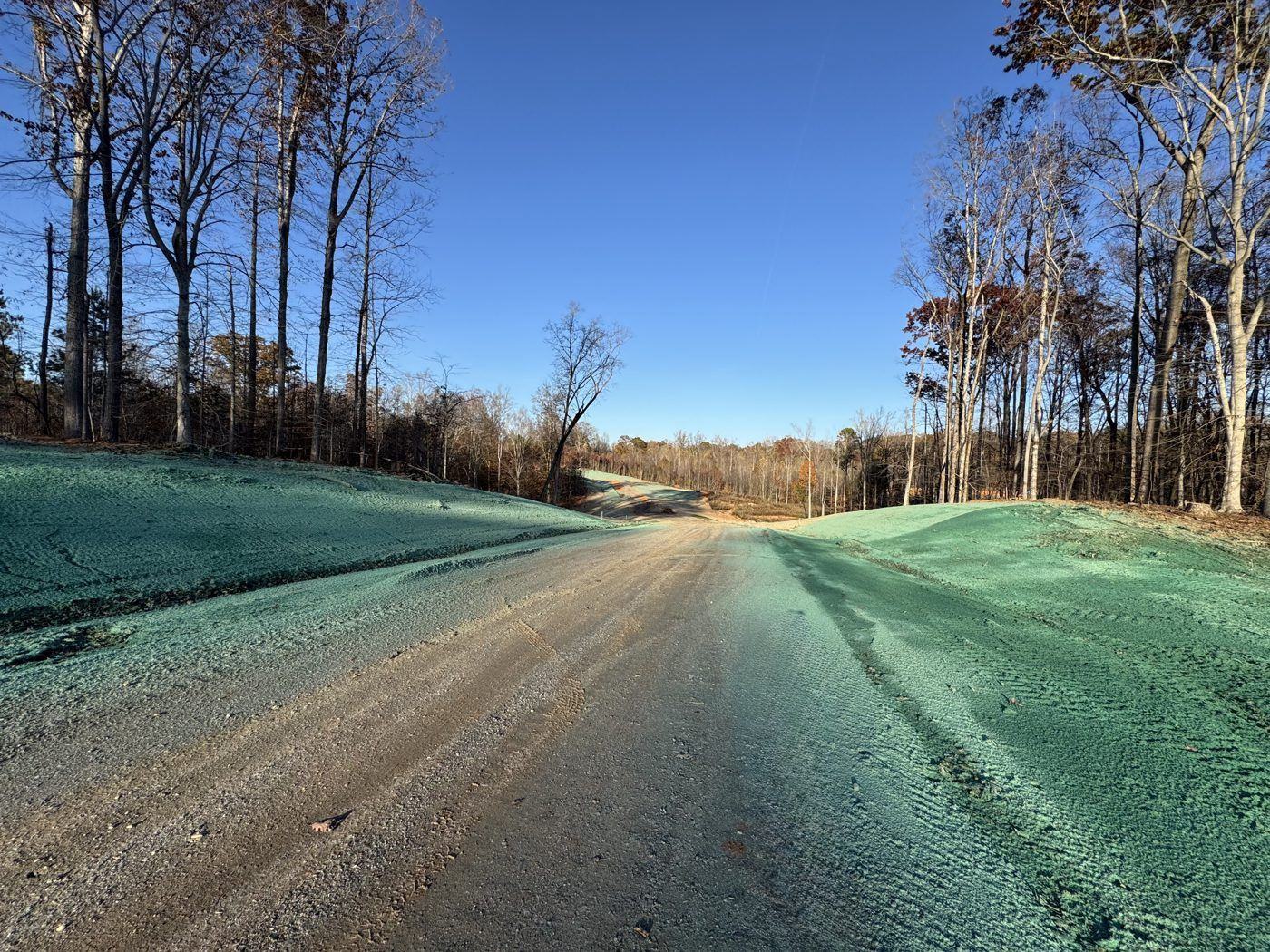 Rural road with hydroseeded shoulders in frosty morning light