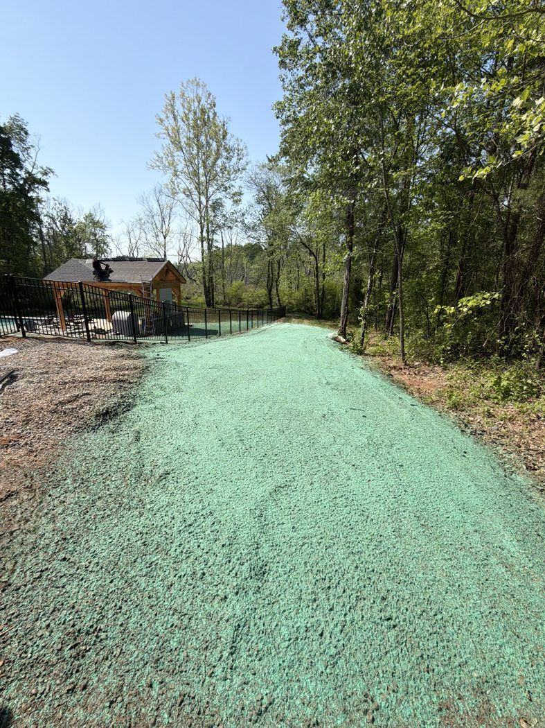 Rural road hydroseeded shoulders, wide view
