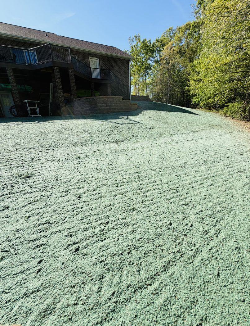 Hydroseeded commercial slope