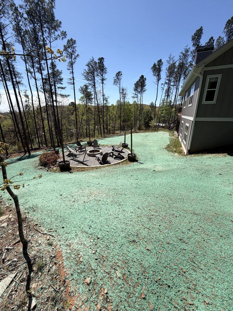 Dark-sided home with hydroseeded yard, NC Piedmont