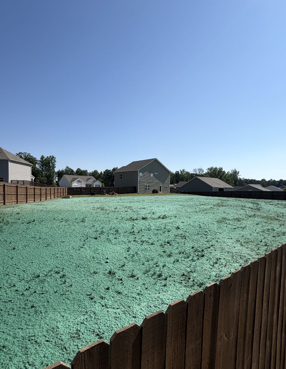 Fenced residential backyard freshly hydroseeded for a new lawn in a NC subdivision