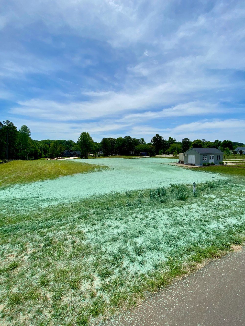 Green hydroseeded lawn in Hickory NC