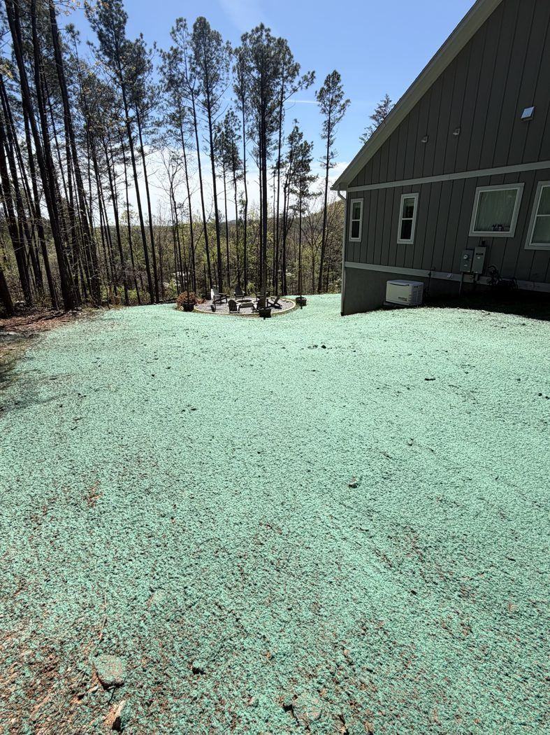 Large home with a thick, even hydroseeded front lawn