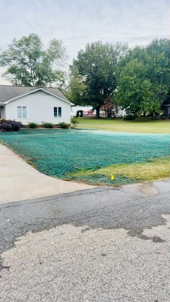 Single-story home with hydroseed along driveway edge