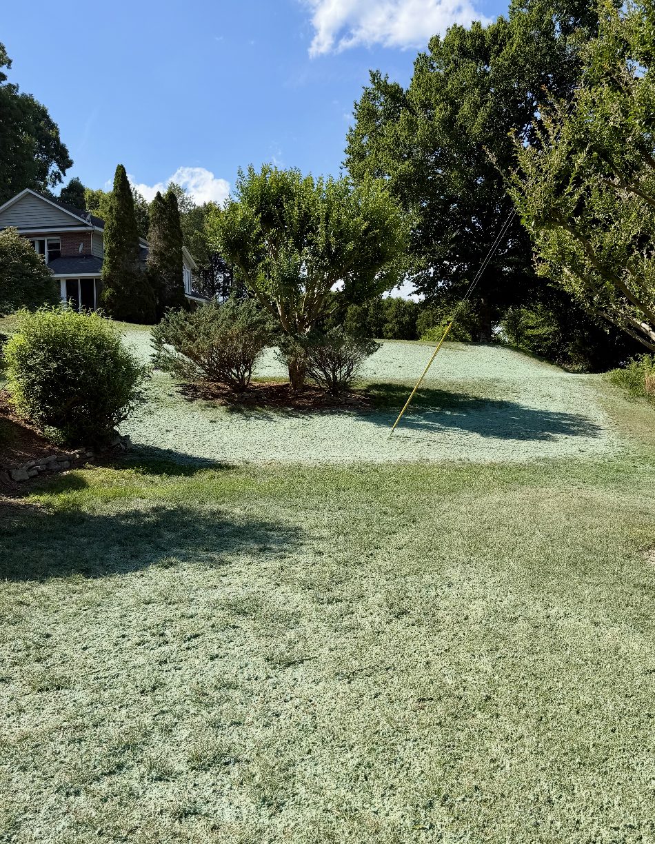 Sloped residential yard with landscaping and fresh hydroseed near a two-story NC home
