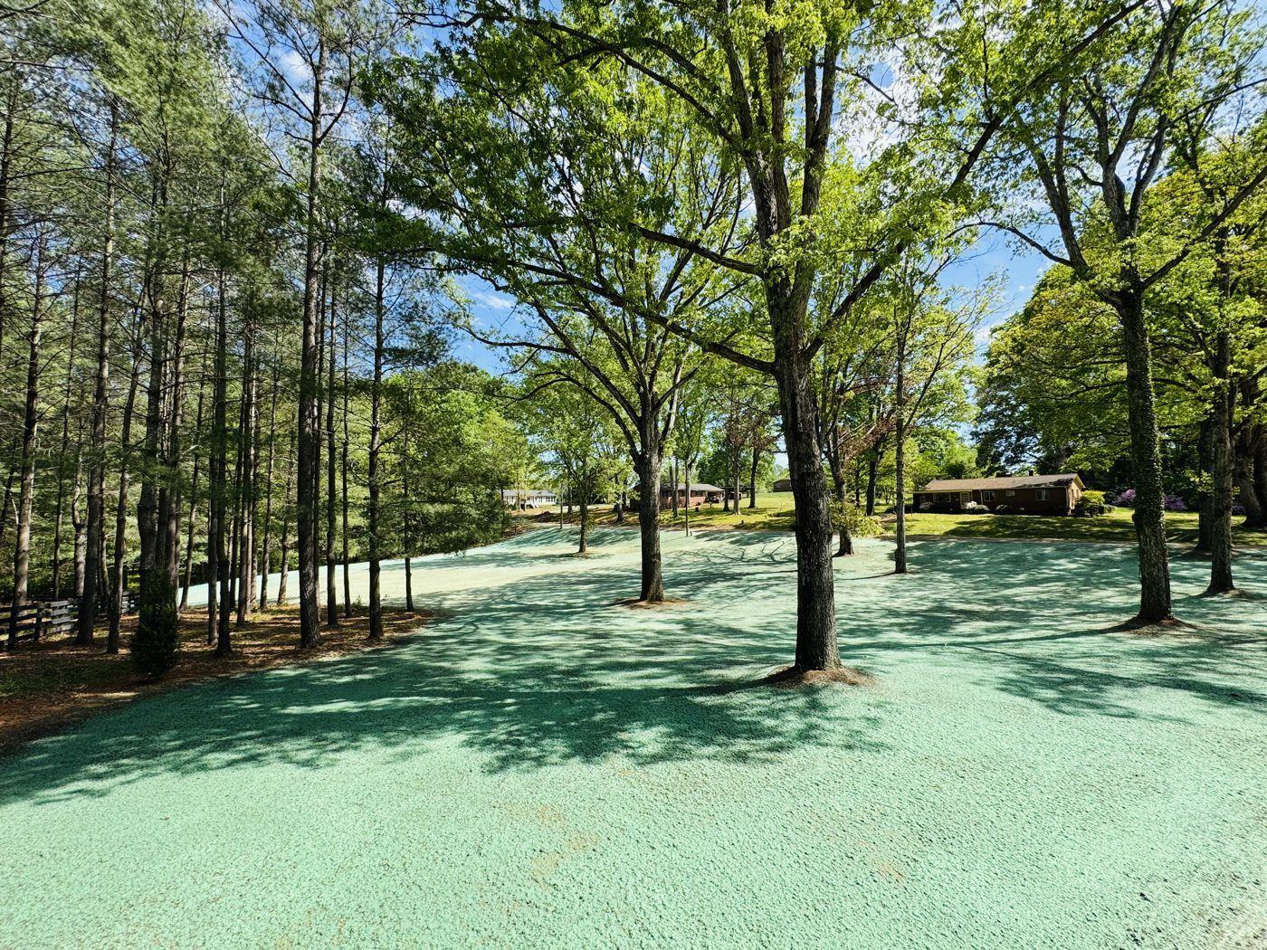 Tree-lined property with hydroseeded lawn